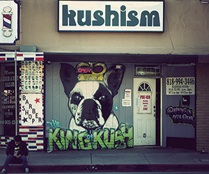 Kushism Collective Van Nuys California